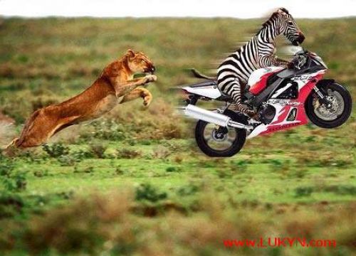 Need For Speed:Most Wanted